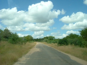 A typical road in the Kruger Park